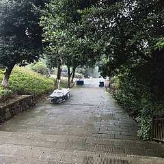 95254e5d082383df59175b0a080daf20.jpg
