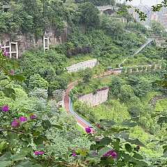 831573c56646ec7d2130f9deb10d0b8.jpg