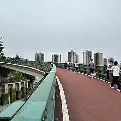 9a2cb7e64d513448a14004419ac700a.jpg